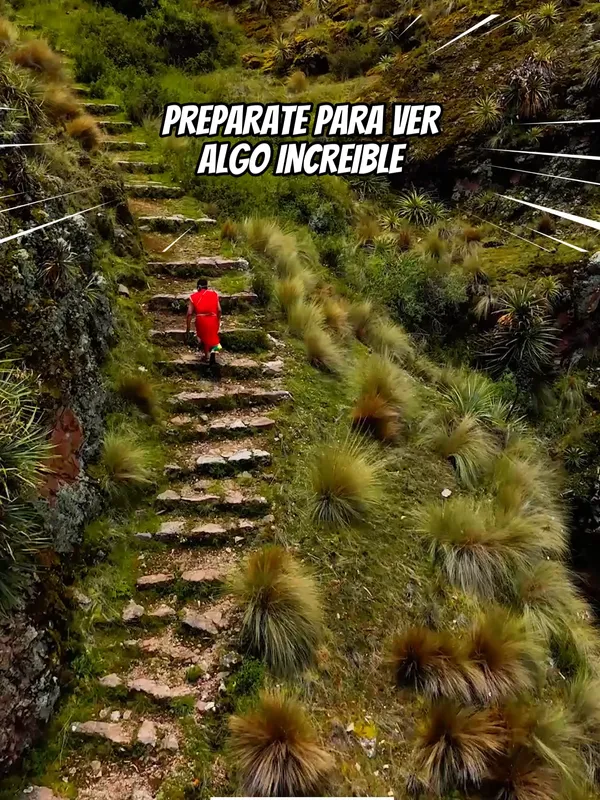 Cusco Mio Reel 20