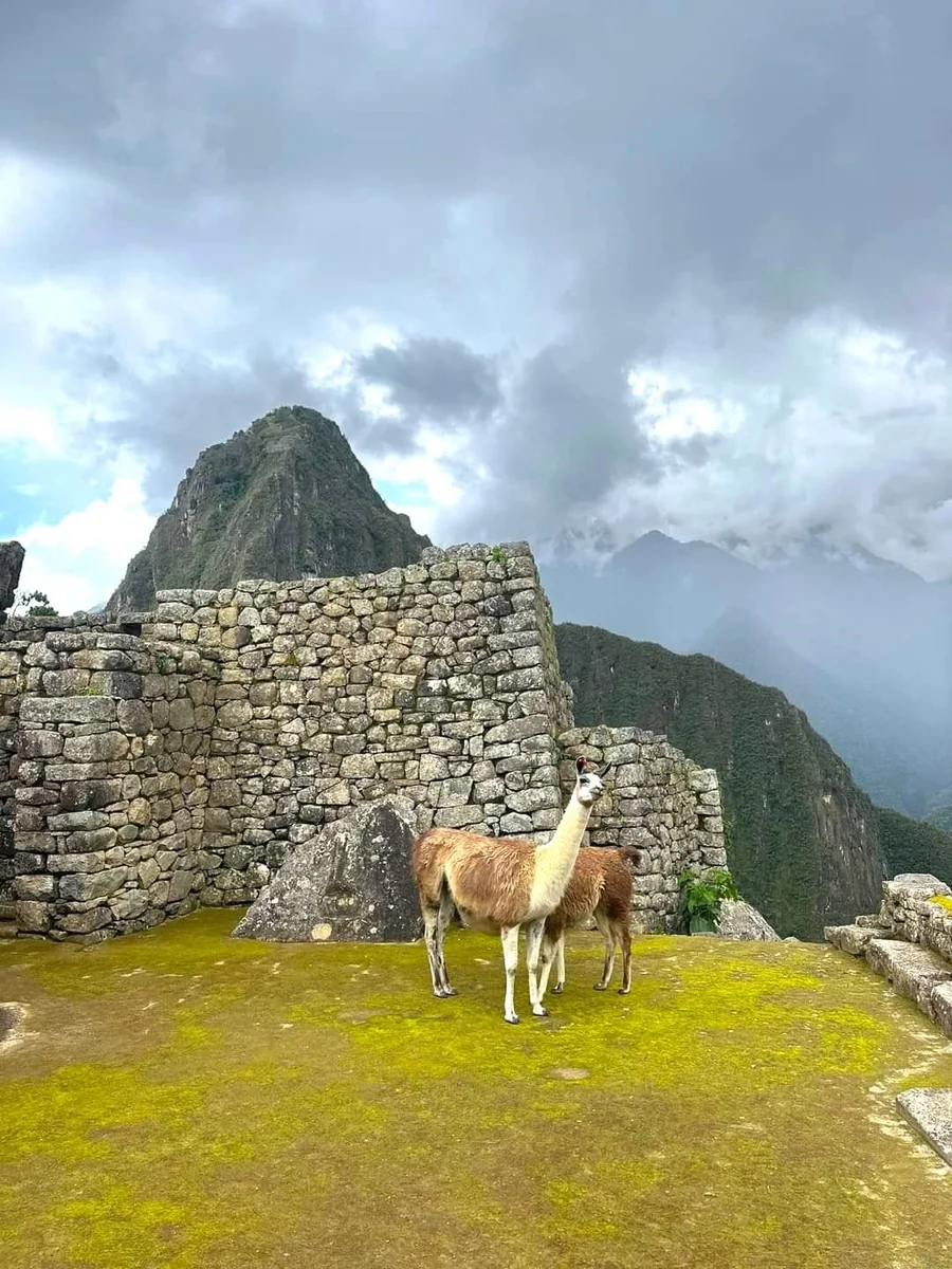 Machu Picchu Full Day